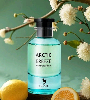 Arctic Breeze Volare  – 100 ML